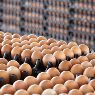 Istockphoto 1098179838 612x612