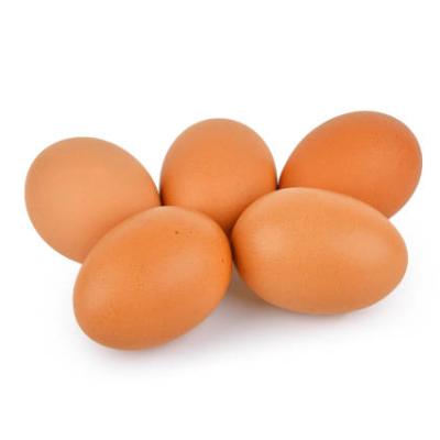 Istockphoto 1499495328 612x612