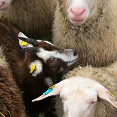 Pexels Coco Hache 12426086