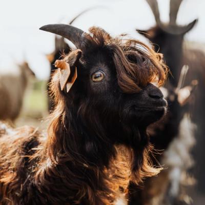 Pexels Karolina Grabowska 5840809